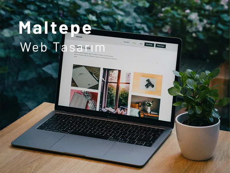 Maltepe Web Tasarım