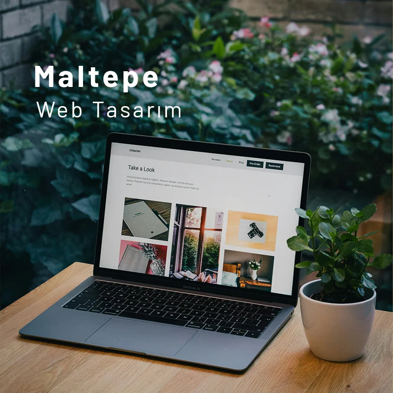 Maltepe Web Tasarım Maltepe web tasarım