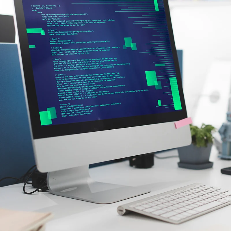 Pendik Web Tasarım Pendik SEO hizmeti